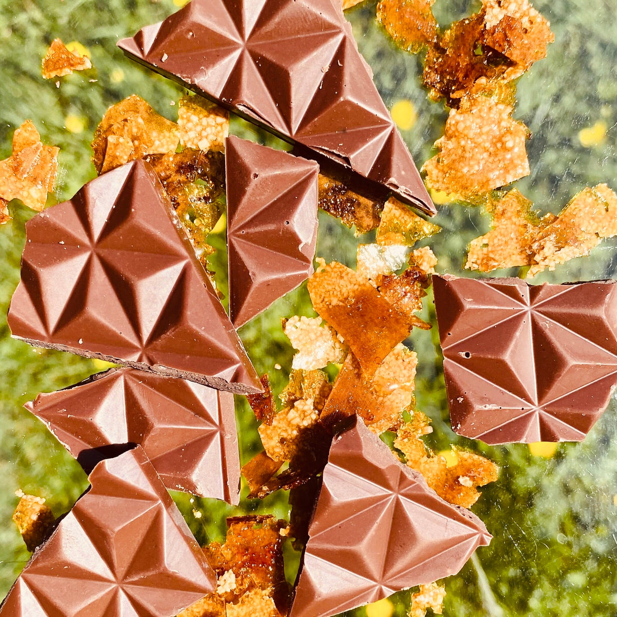 Mix & Match Roxy Chocolate - 5 Bars