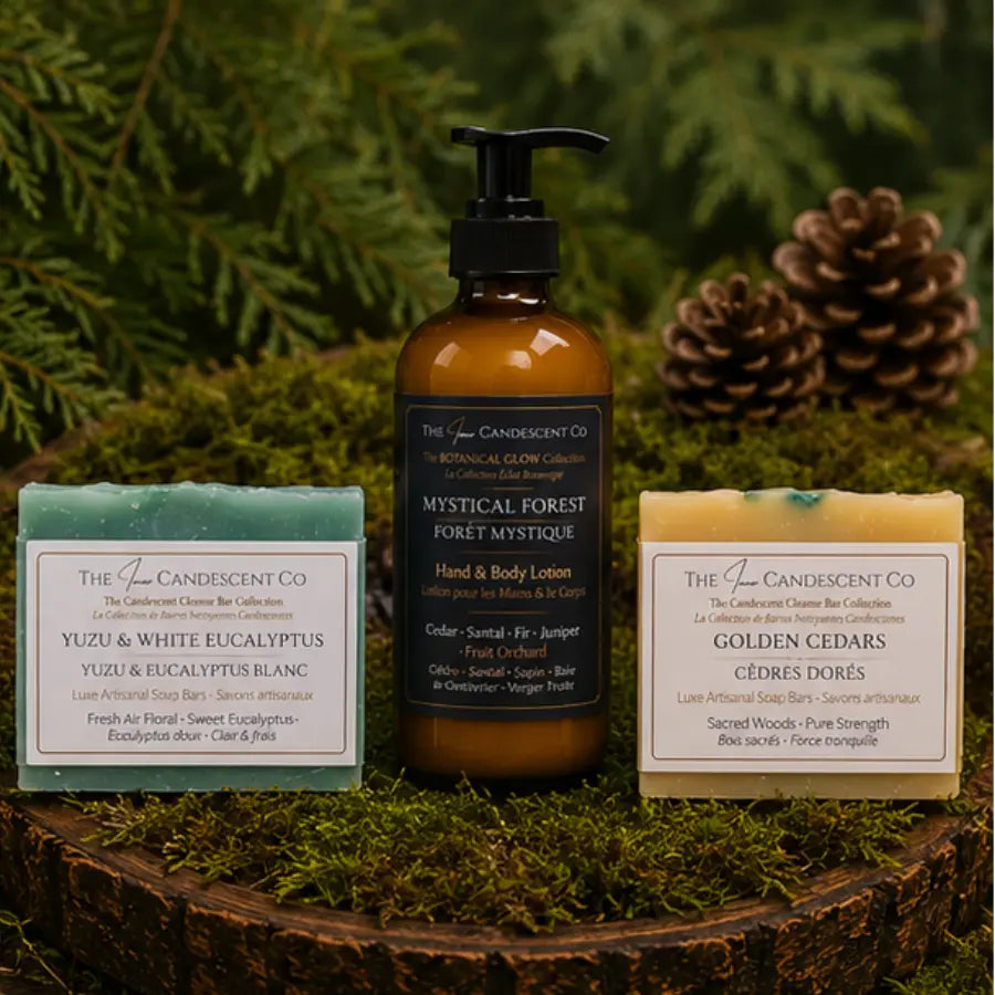 The Woodland Radiance Discovery Bundle