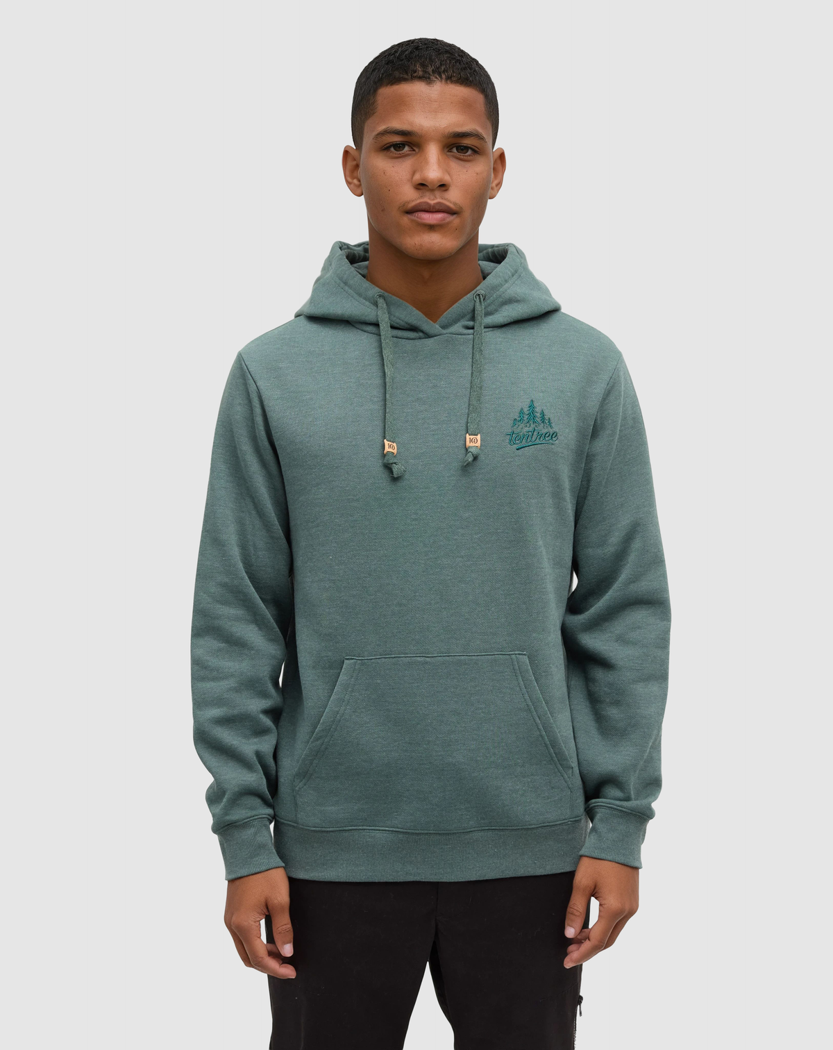 Tentree Tree Hoodie