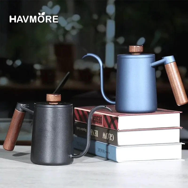 Gooseneck Barista Pour-Over Kettle | 600ml Stainless Steel