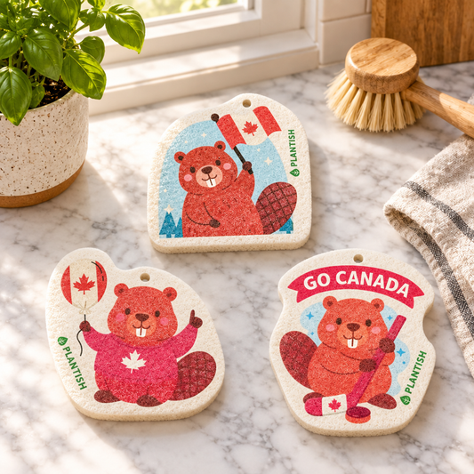 Canadian Beaver Sponges Lifestyle Photo