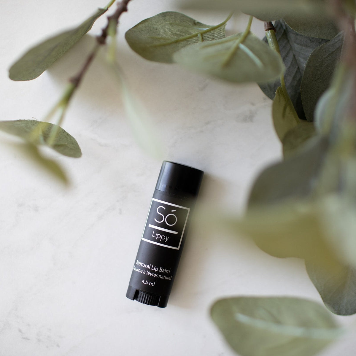 Só Lippy | Shea & Cocoa Butter Lip Balm