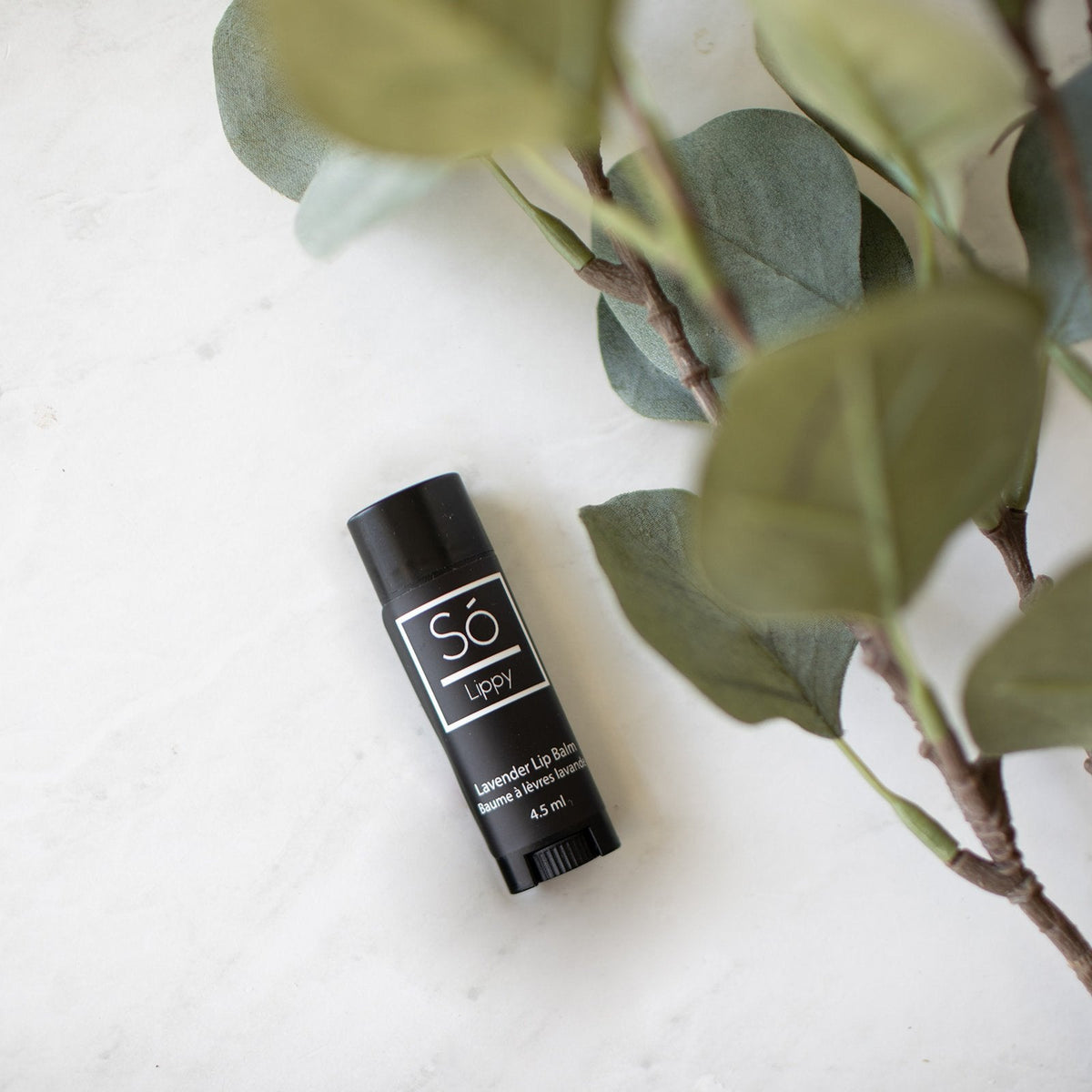 Só Lippy | Shea & Cocoa Butter Lip Balm