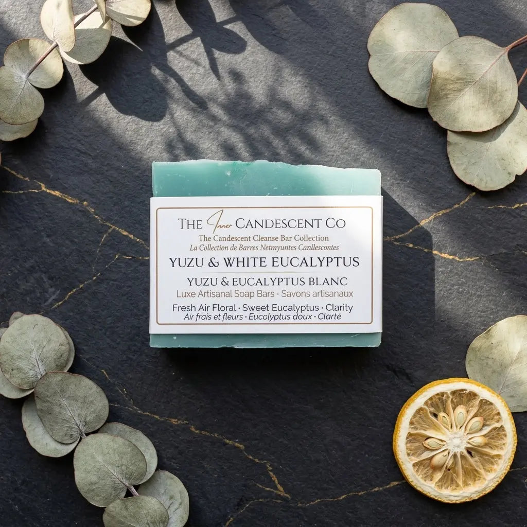 The Woodland Radiance Discovery Bundle